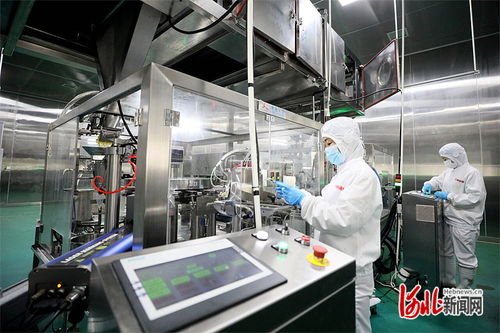 高質(zhì)量發(fā)展調(diào)研行 邢臺(tái)食品加工業(yè)挺進(jìn)功能性食品新賽道